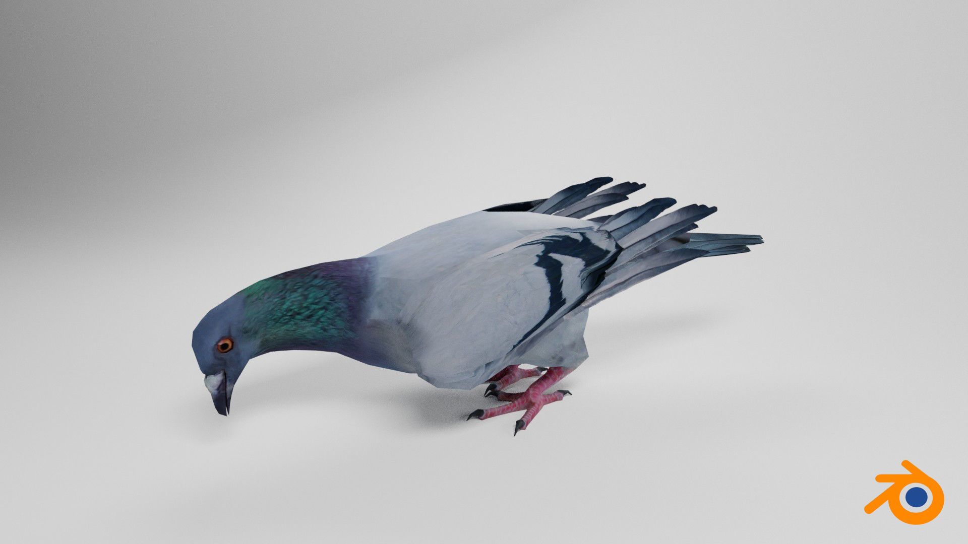 Pigeon Low-poly 3D model_3