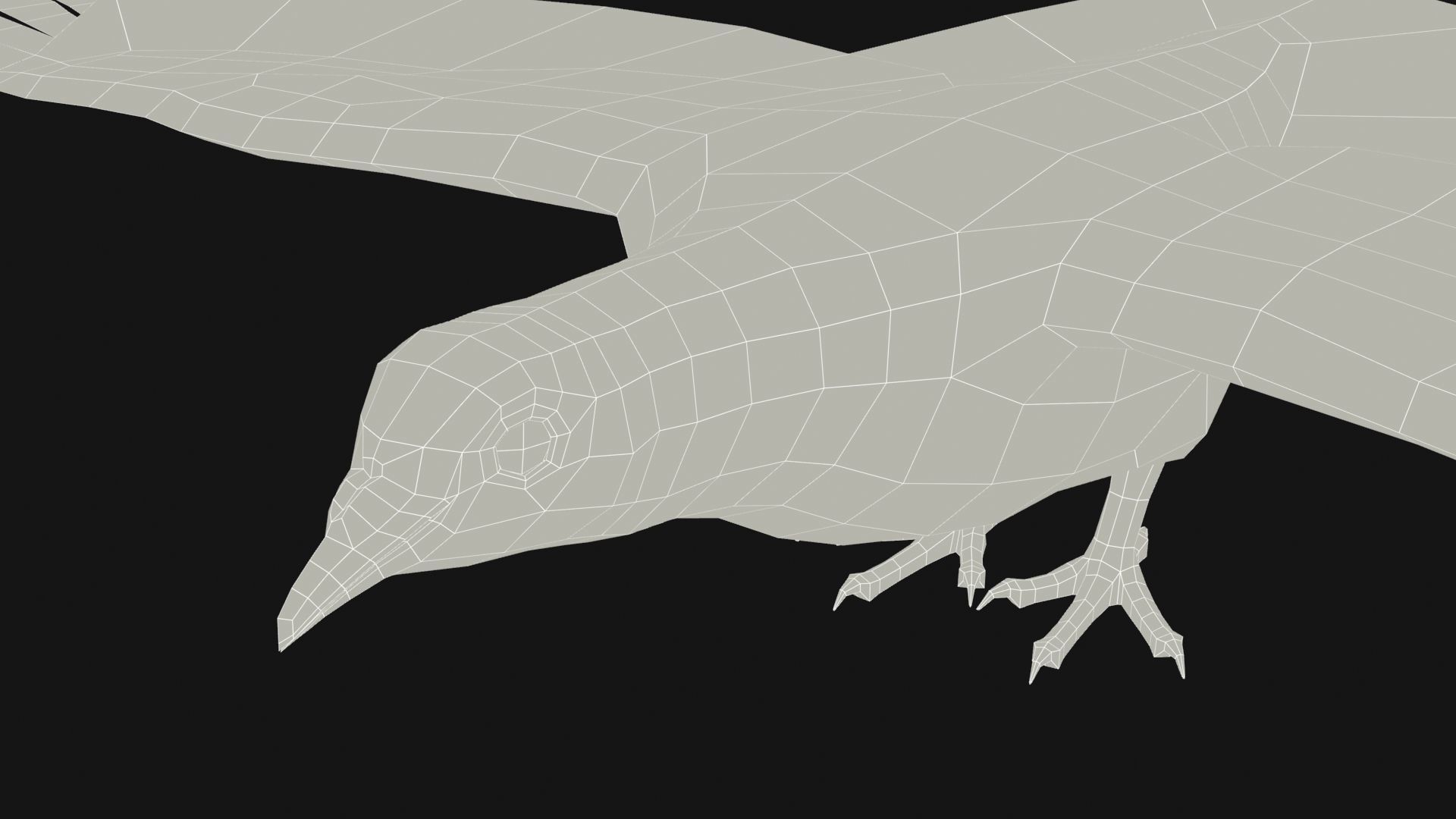 Pigeon Low-poly 3D model_16