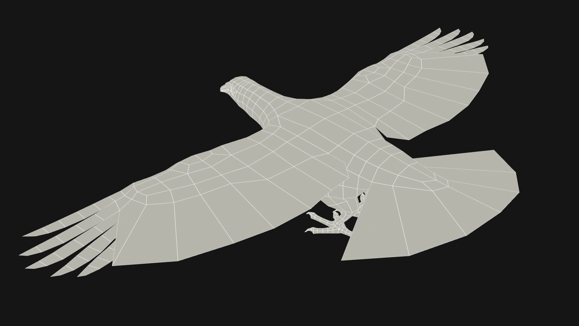 Pigeon Low-poly 3D model_15