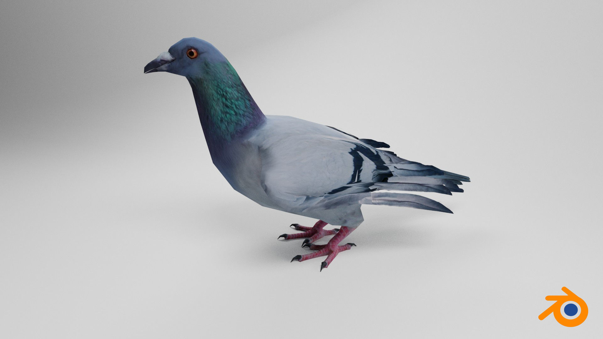 Pigeon Low-poly 3D model_4
