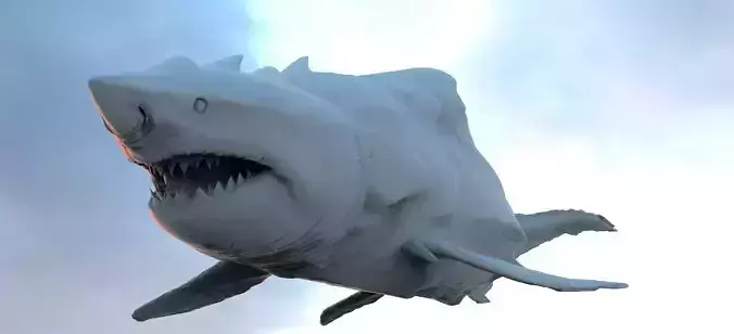 Great White Shark Hybrid With UVs 3D model