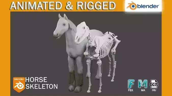 Horse skeleton Low-poly 3D model