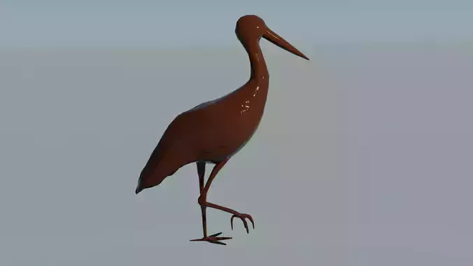 stork bird with long legs Free 3D model