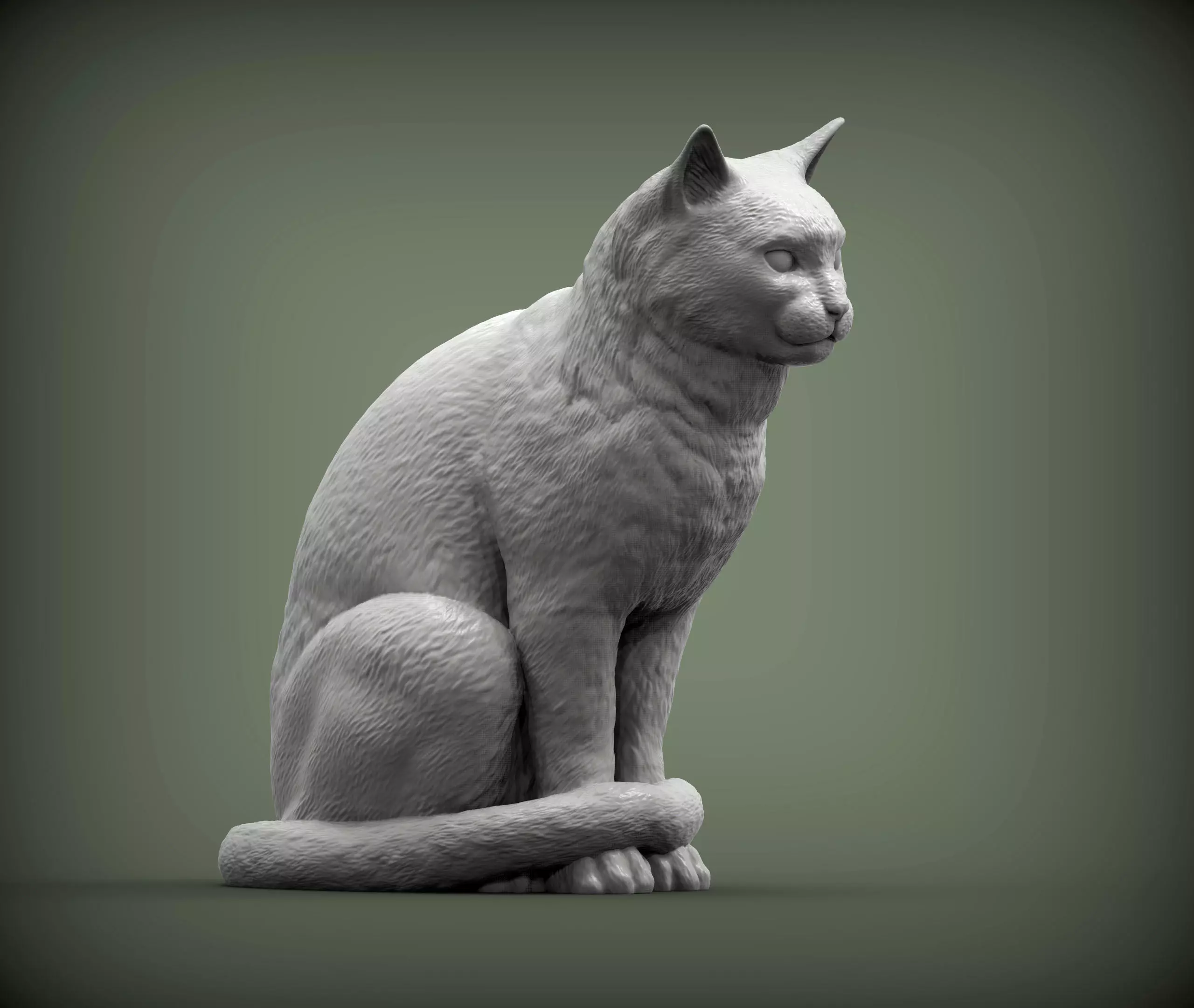 Cat for 3d printing 3D print model