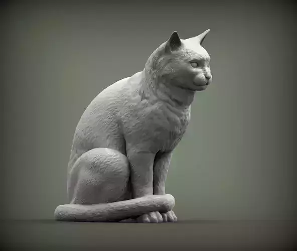 Cat for 3d printing  3D print model