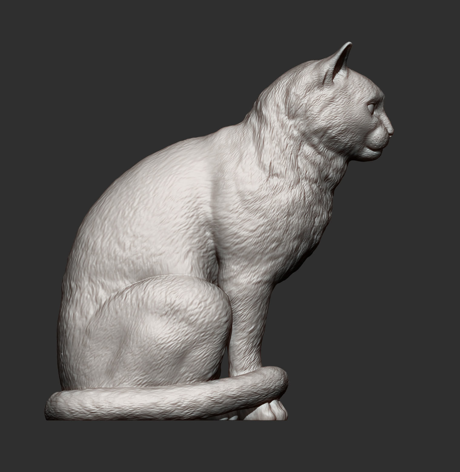 Cat for 3d printing 3D model 3D printable | CGTrader
