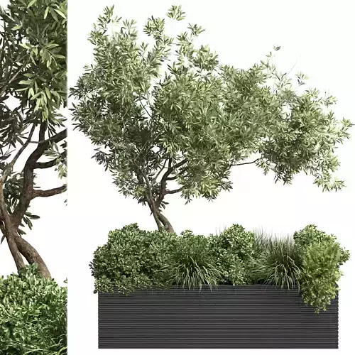  Indoor plant pot garden tree plant grass metal vase bax