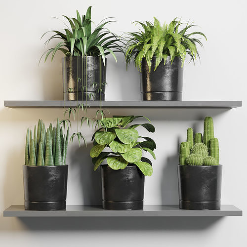Indoor outdoor plant pot on shelf dirty concrete vase 3D model