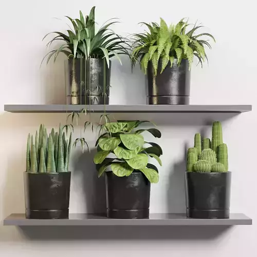 Indoor outdoor plant pot on shelf dirty concrete vase