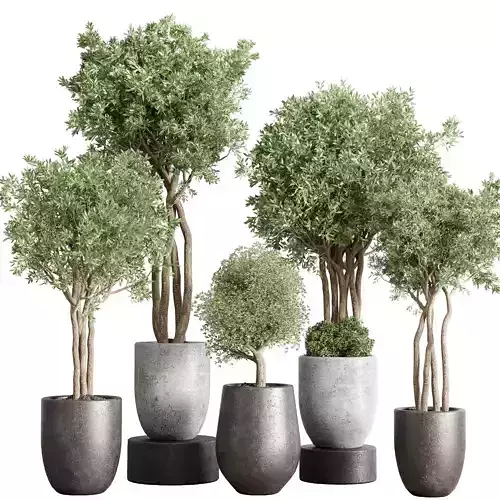  Indoor Outdoor plant  vase concrete dirty pot tree plant