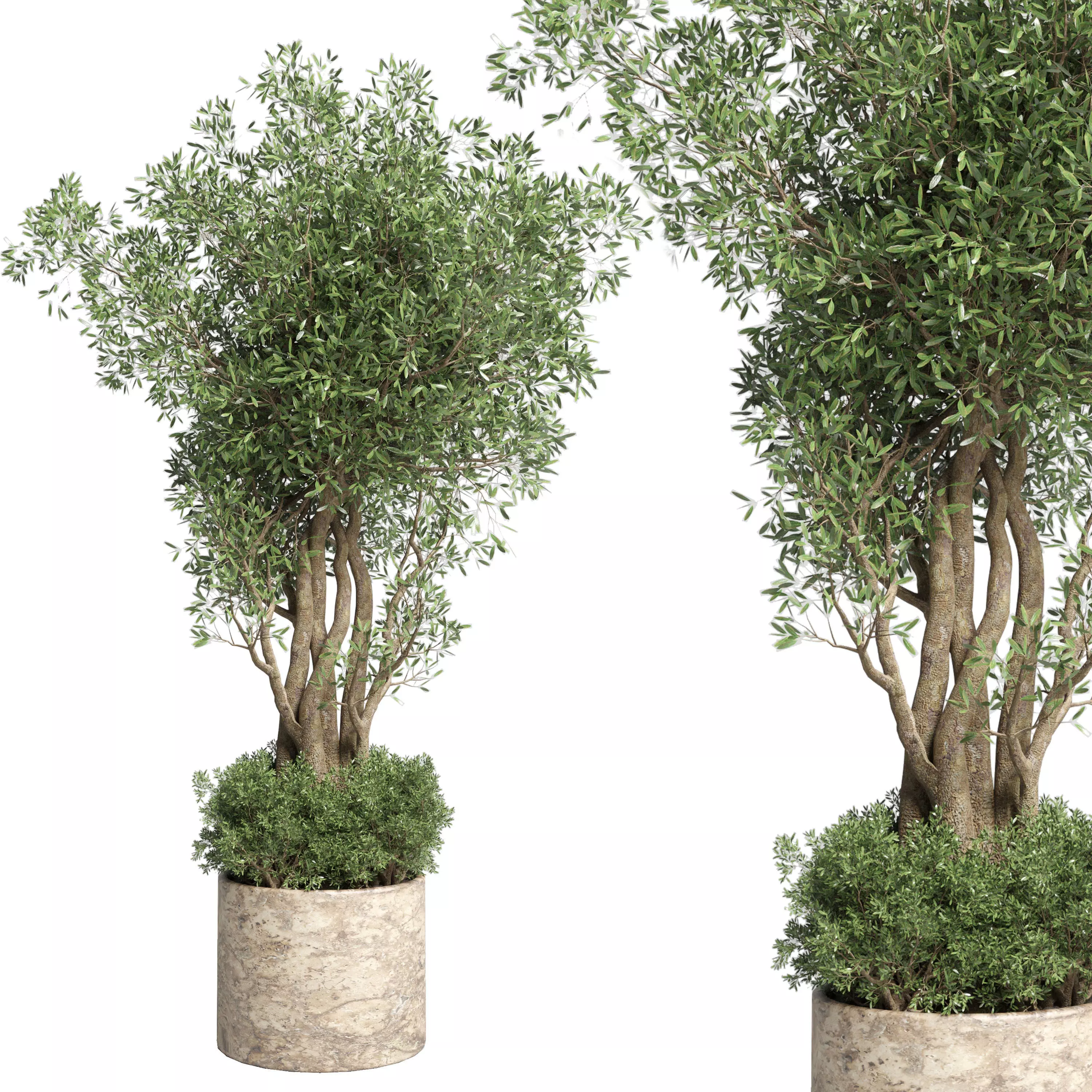 Outdoor Indoor plant 57 Old marble vase 3D model