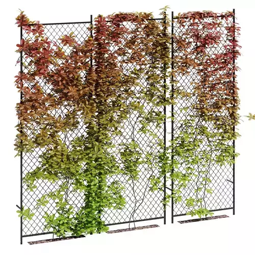 Ivy wall seven 3D model