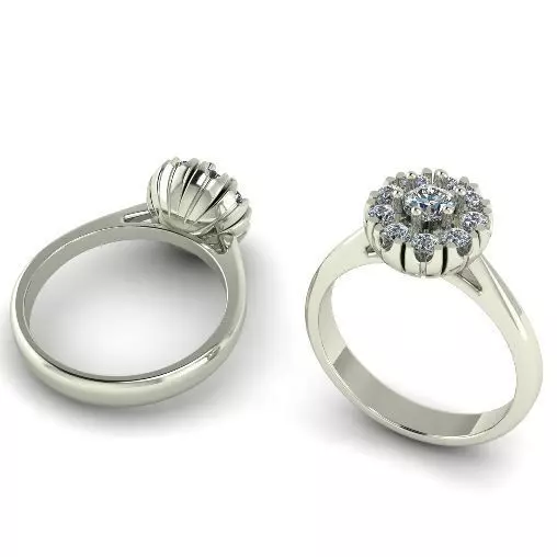 Ring 1102 3D print model_0