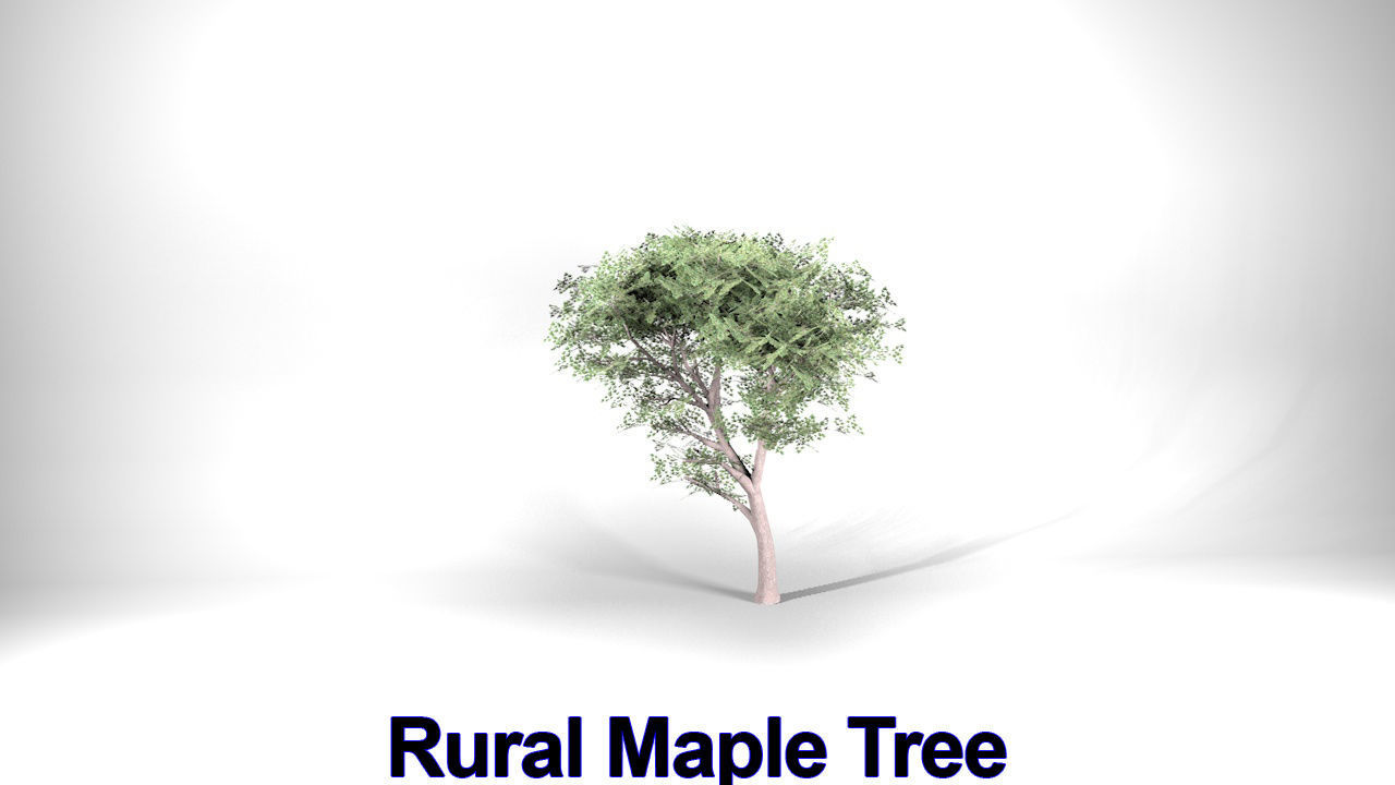 Five High Poly Trees  Stellar Trees 1 3D model_9