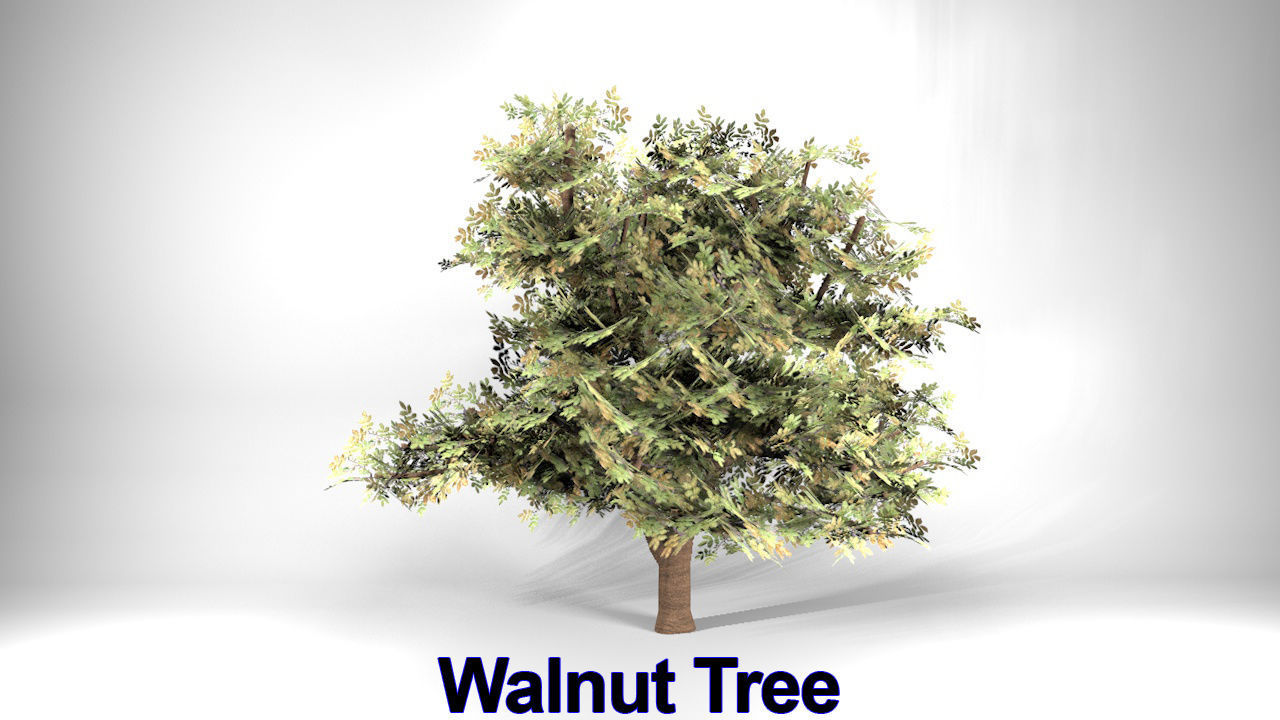 Five High Poly Trees  Stellar Trees 1 3D model_1