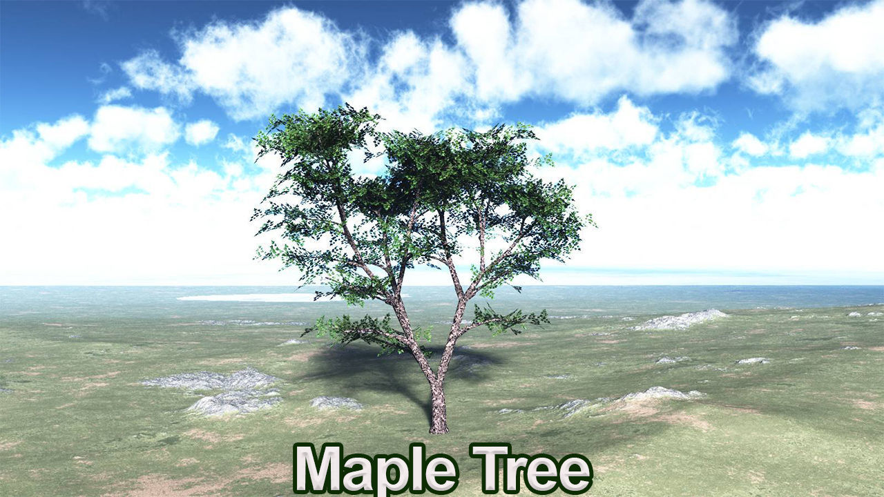 Five High Poly Trees  Stellar Trees 1 3D model_4