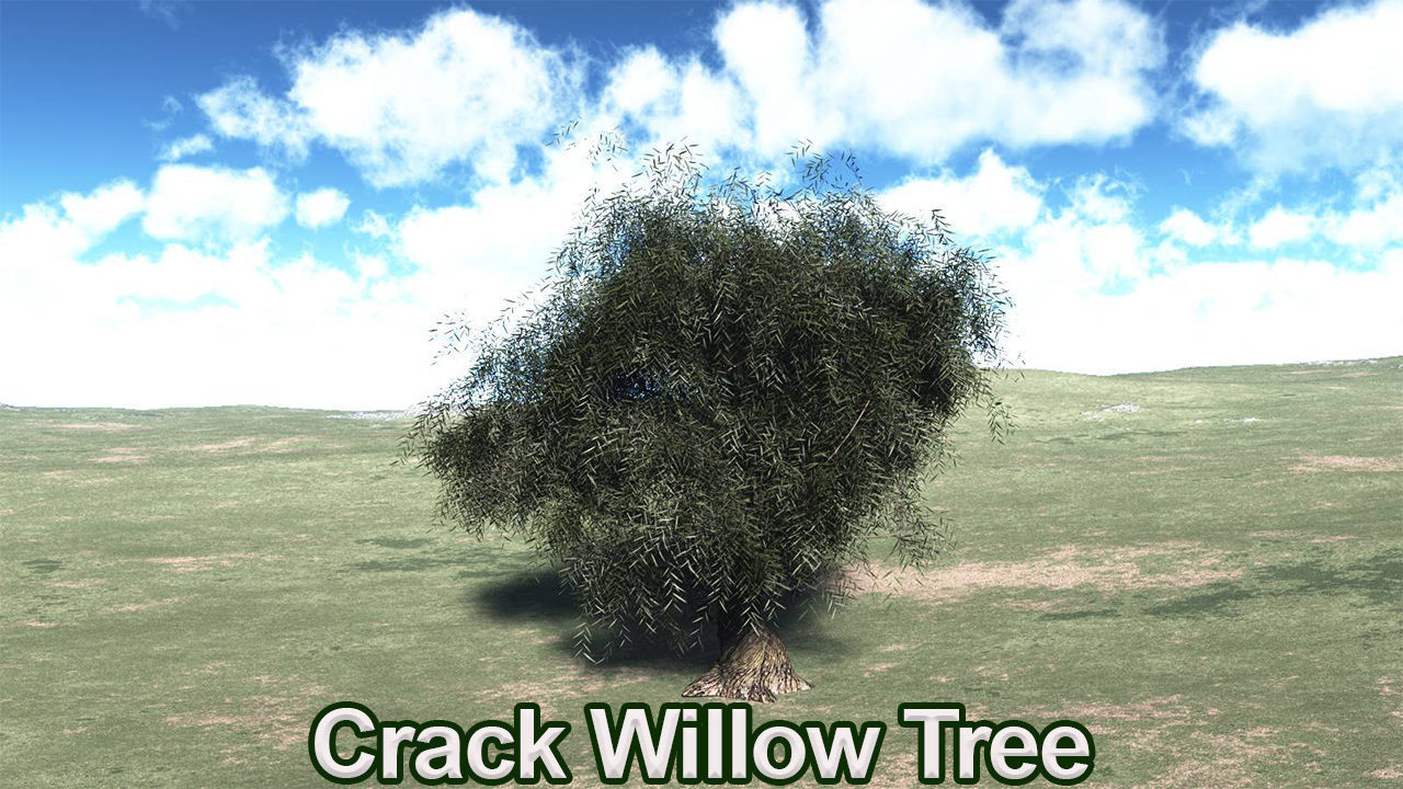 Five High Poly Trees  Stellar Trees 1 3D model_3