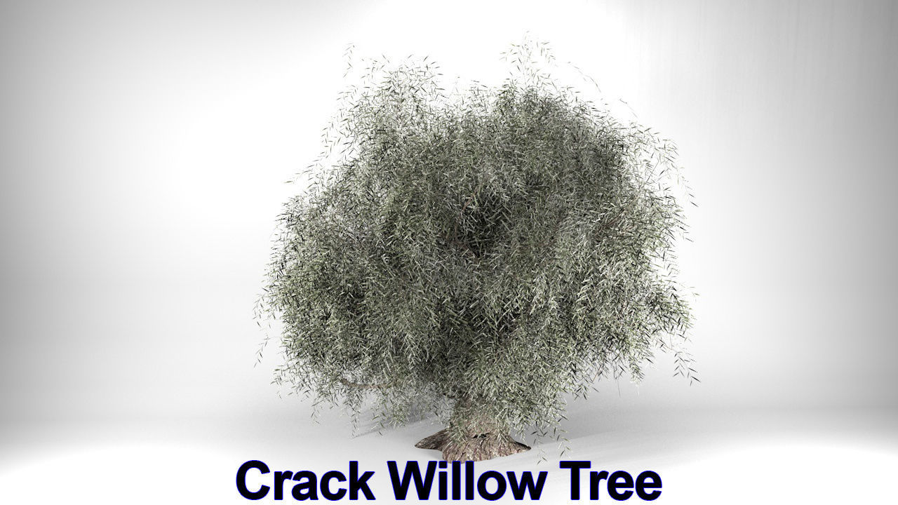 Five High Poly Trees  Stellar Trees 1 3D model_8