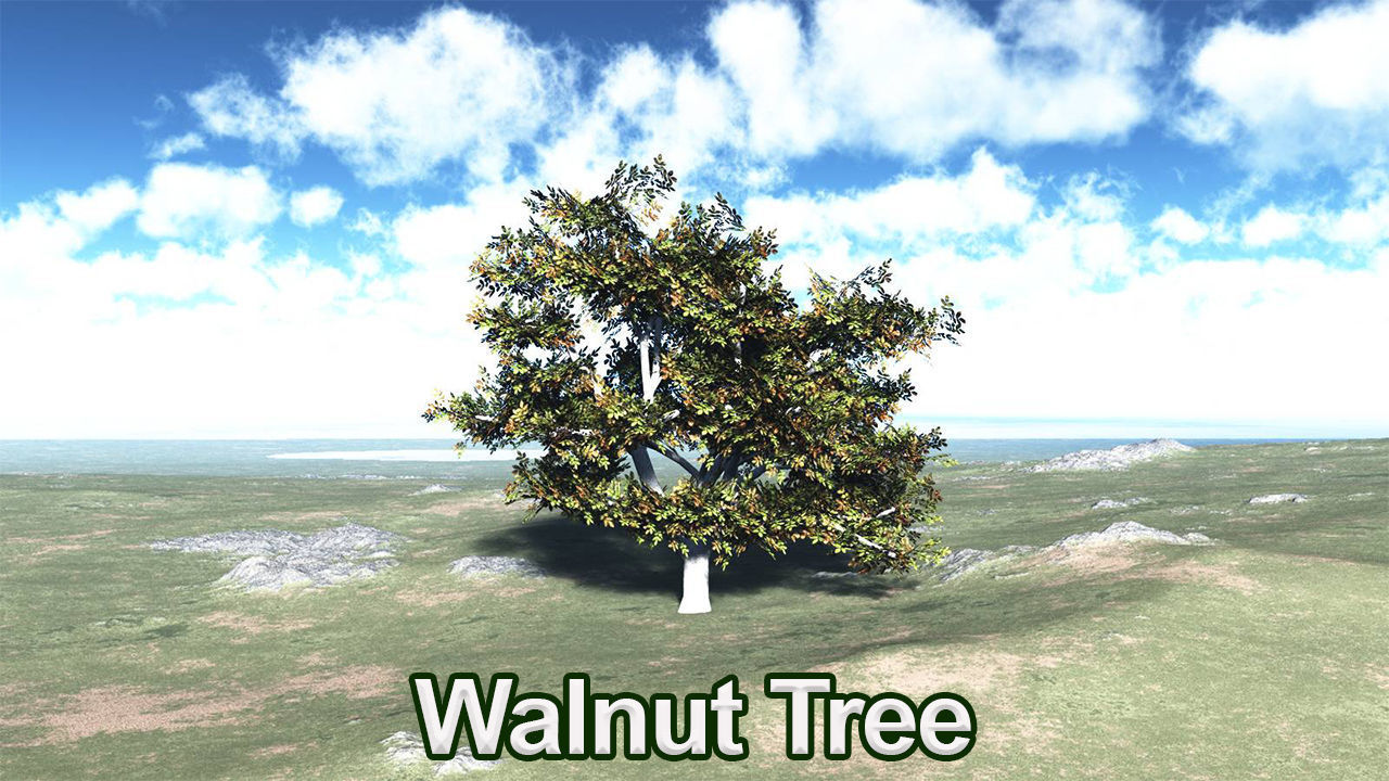 Five High Poly Trees  Stellar Trees 1 3D model_6