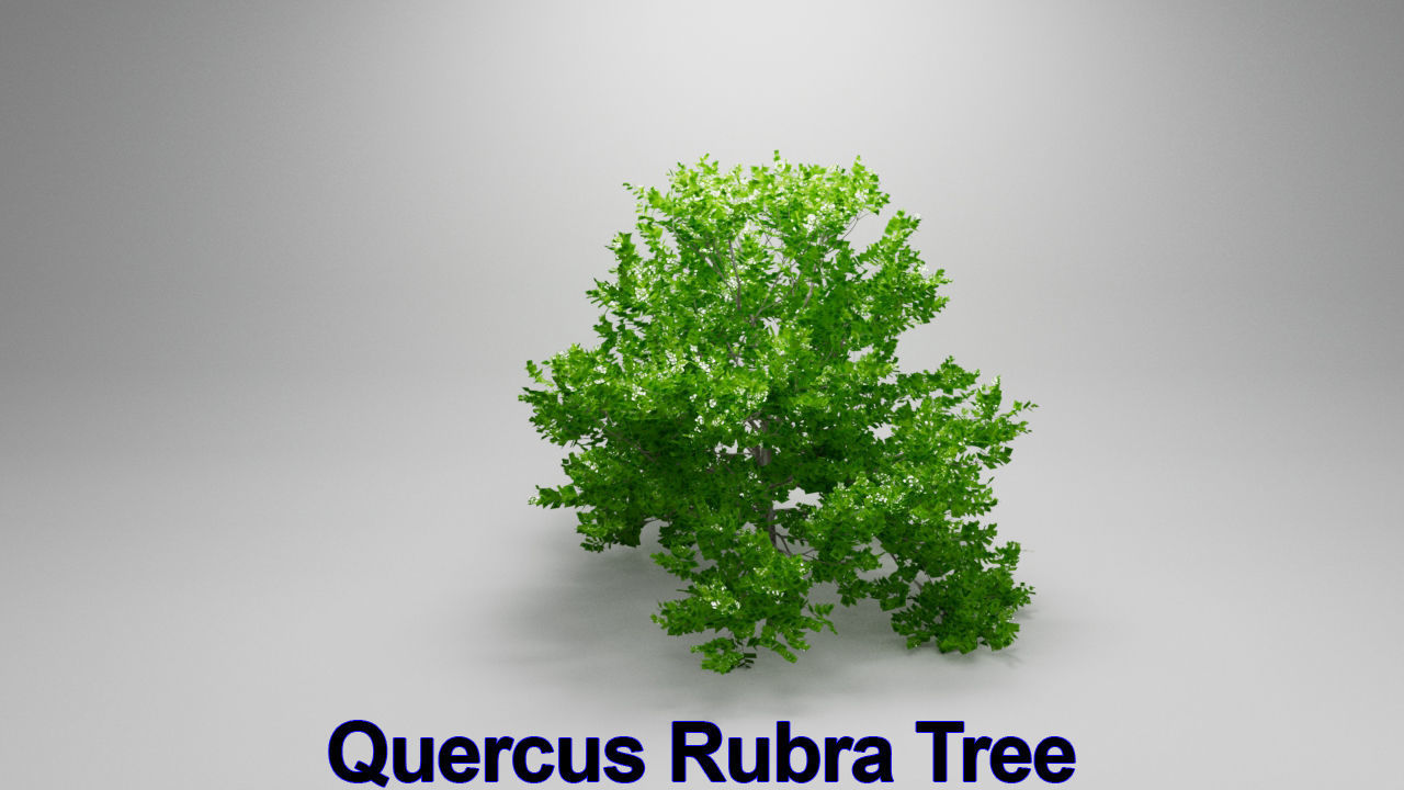 Five High Poly Trees  Stellar Trees 1 3D model_2