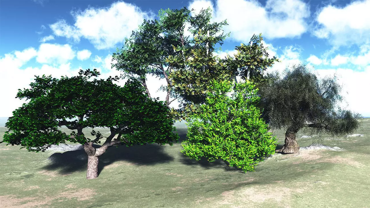 Five High Poly Trees  Stellar Trees 1 3D model_0