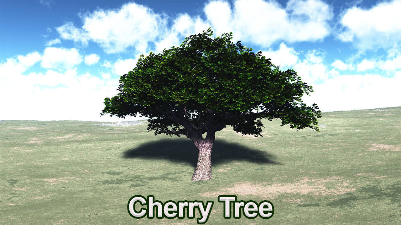 Five High Poly Trees  Stellar Trees 1 3D model_5