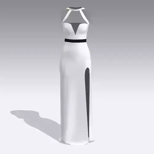 DRESS WHITE BLACK LONG