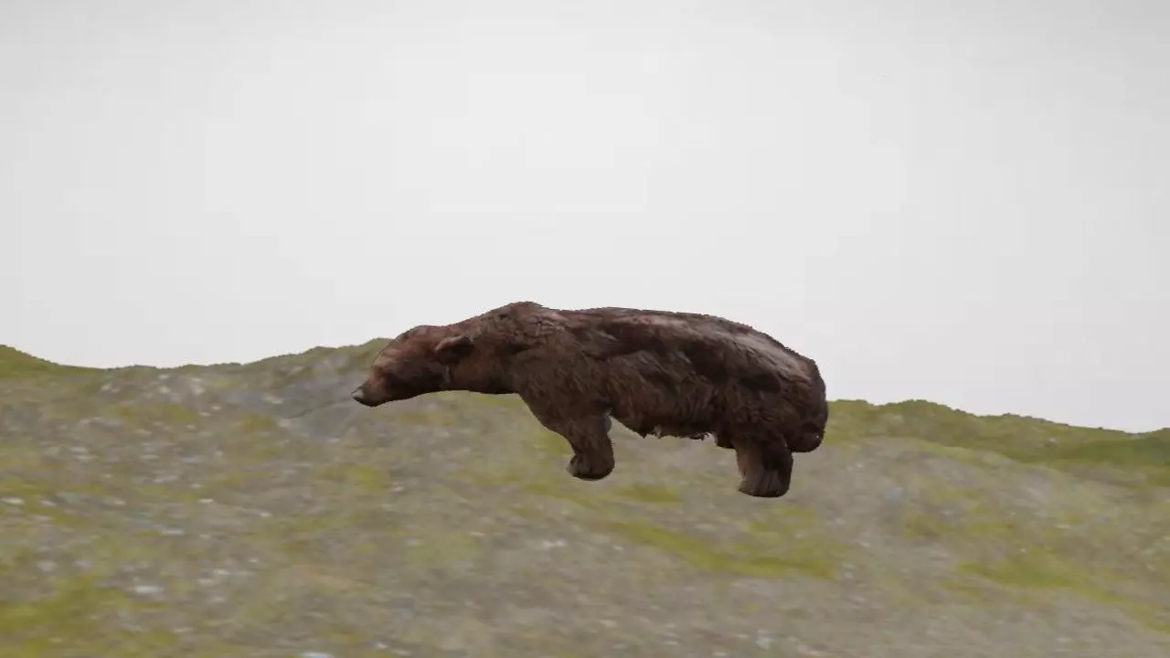 Grizzly Bear 3D Model 3D model