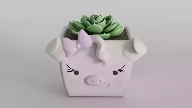 Adorable Piggy Planter with Succulent