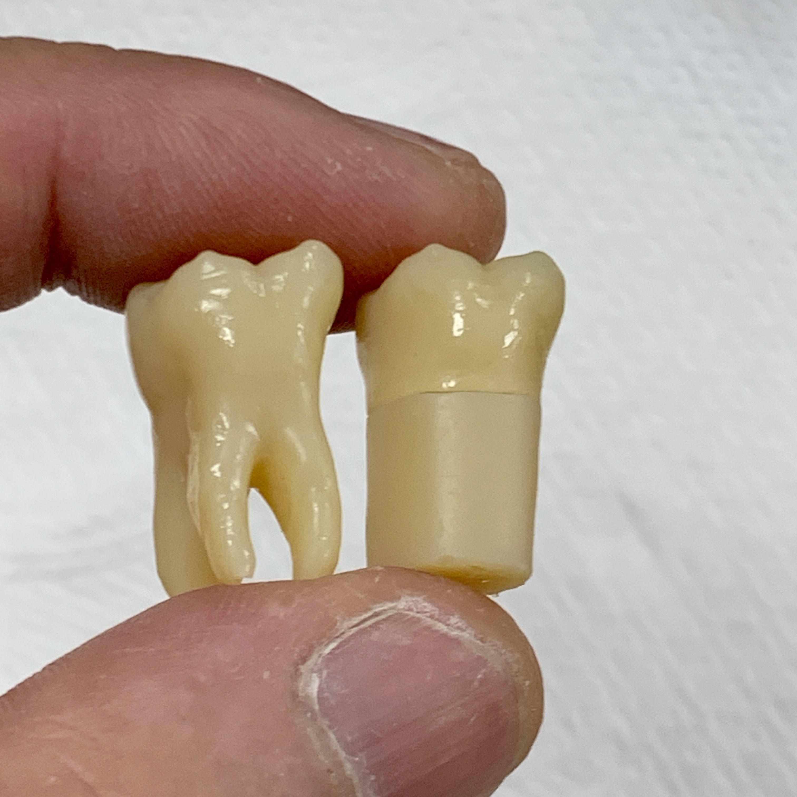 Sample data for test print tooth number 26 Free 3D print model_1