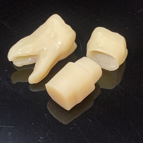 Sample data for test print tooth number 26 Free 3D print model