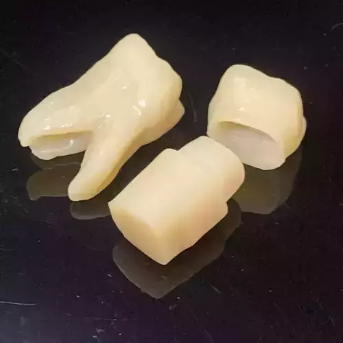 Sample data for test print tooth number 26 Free 3D print model