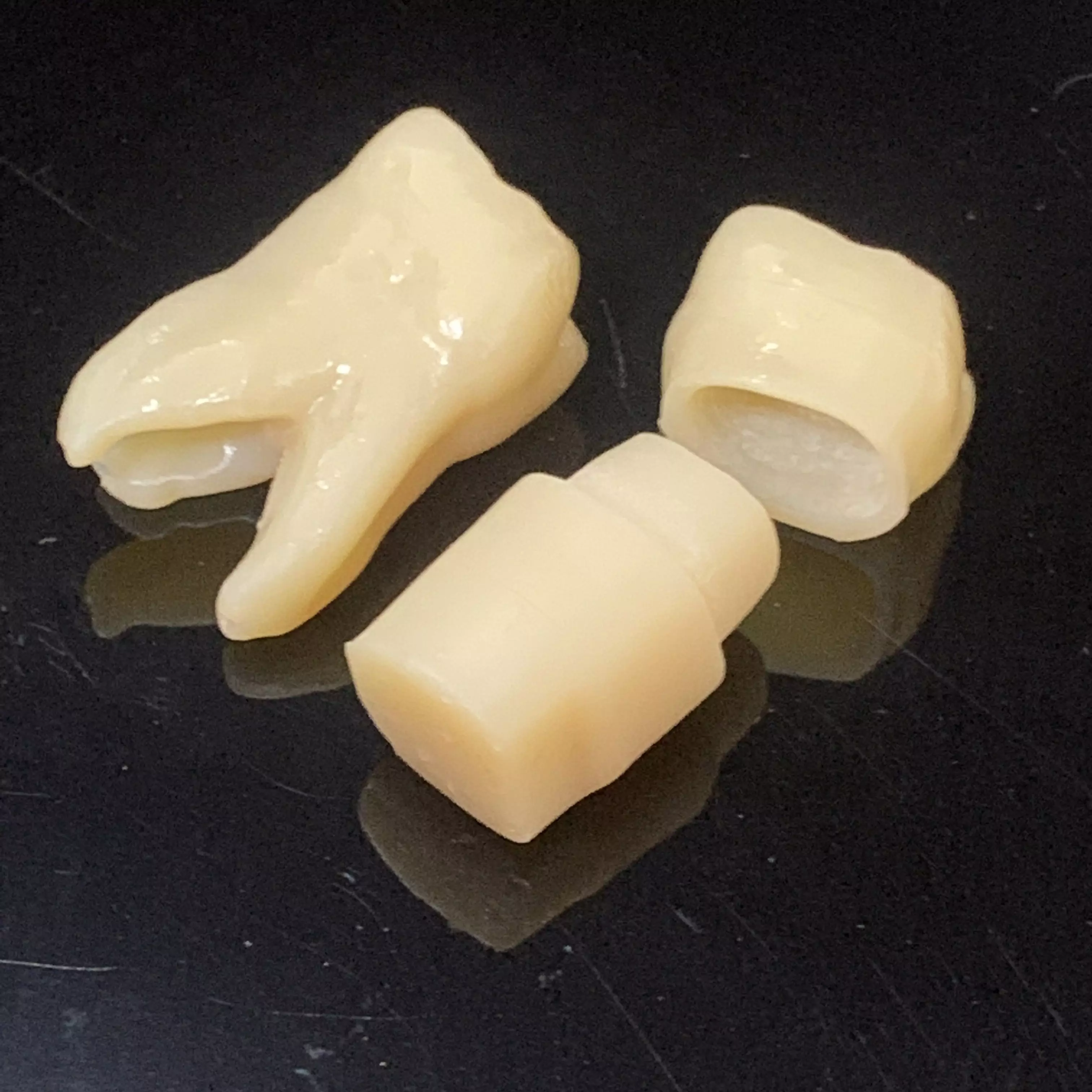 Sample data for test print tooth number 26 Free 3D print model_0