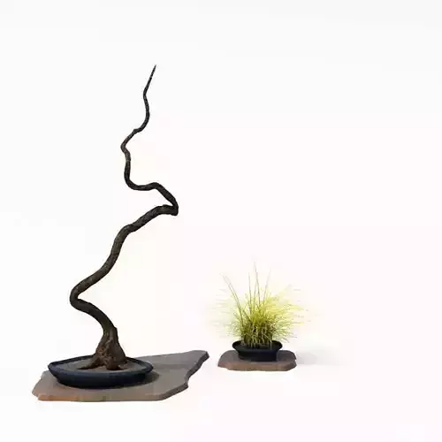 Plant   Pot Leaf And Stem