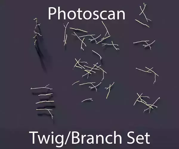 PBR Stick twig dead broken Scan Pack Assembly Low-poly 3D model