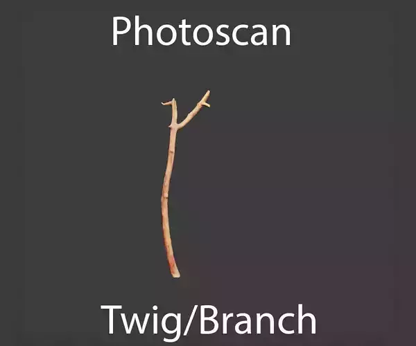 Free PBR Stick twig dead broken Scan Free low-poly 3D model