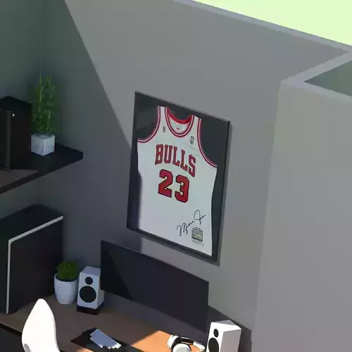 Michael Jordan jersey