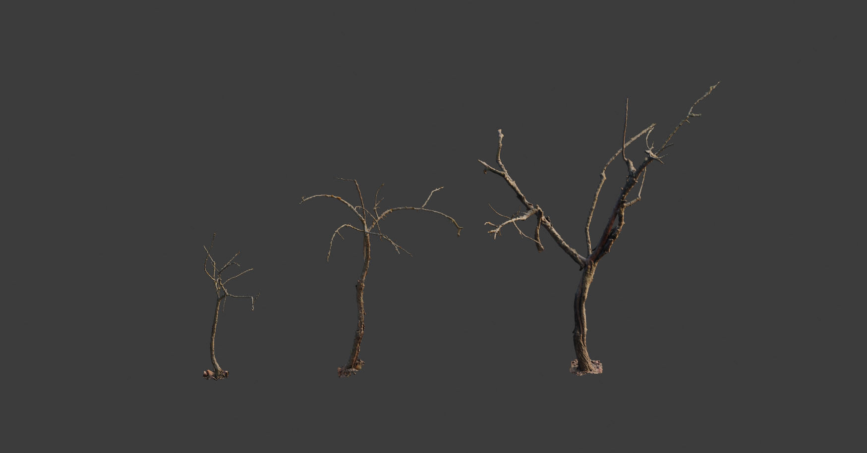 PBR Dead Tree Dry Photoscan Collection Pack Highpoly 3D model_7