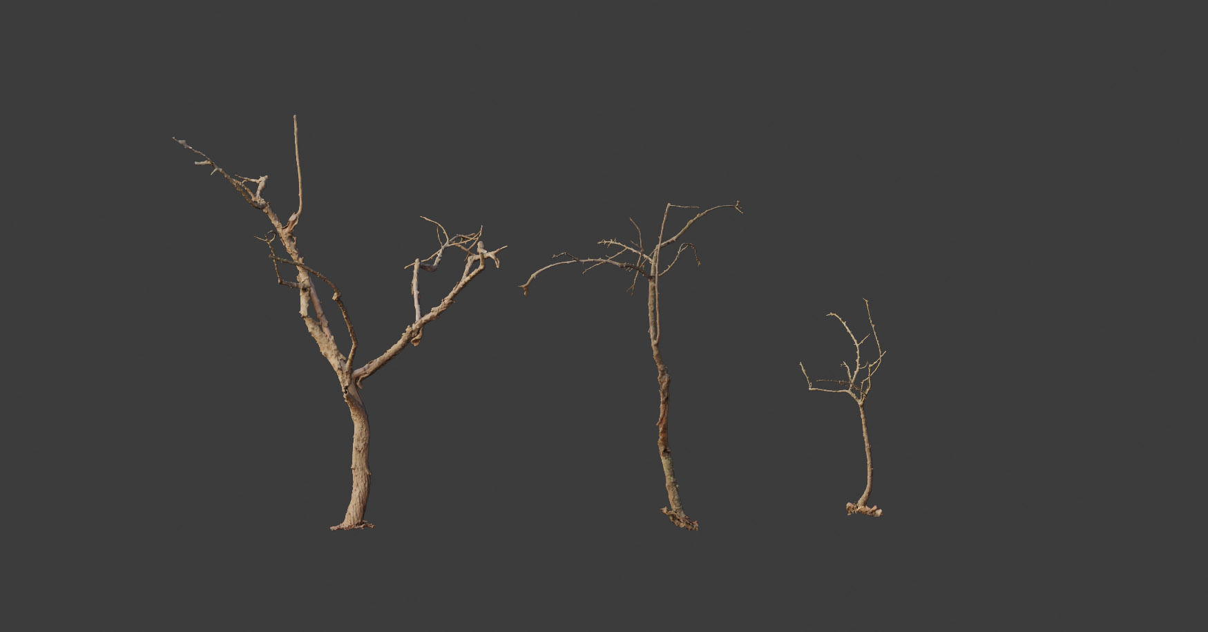 PBR Dead Tree Dry Photoscan Collection Pack Highpoly 3D model_13