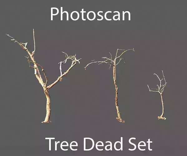 PBR Dead Tree Dry Photoscan Collection Pack Highpoly 3D model
