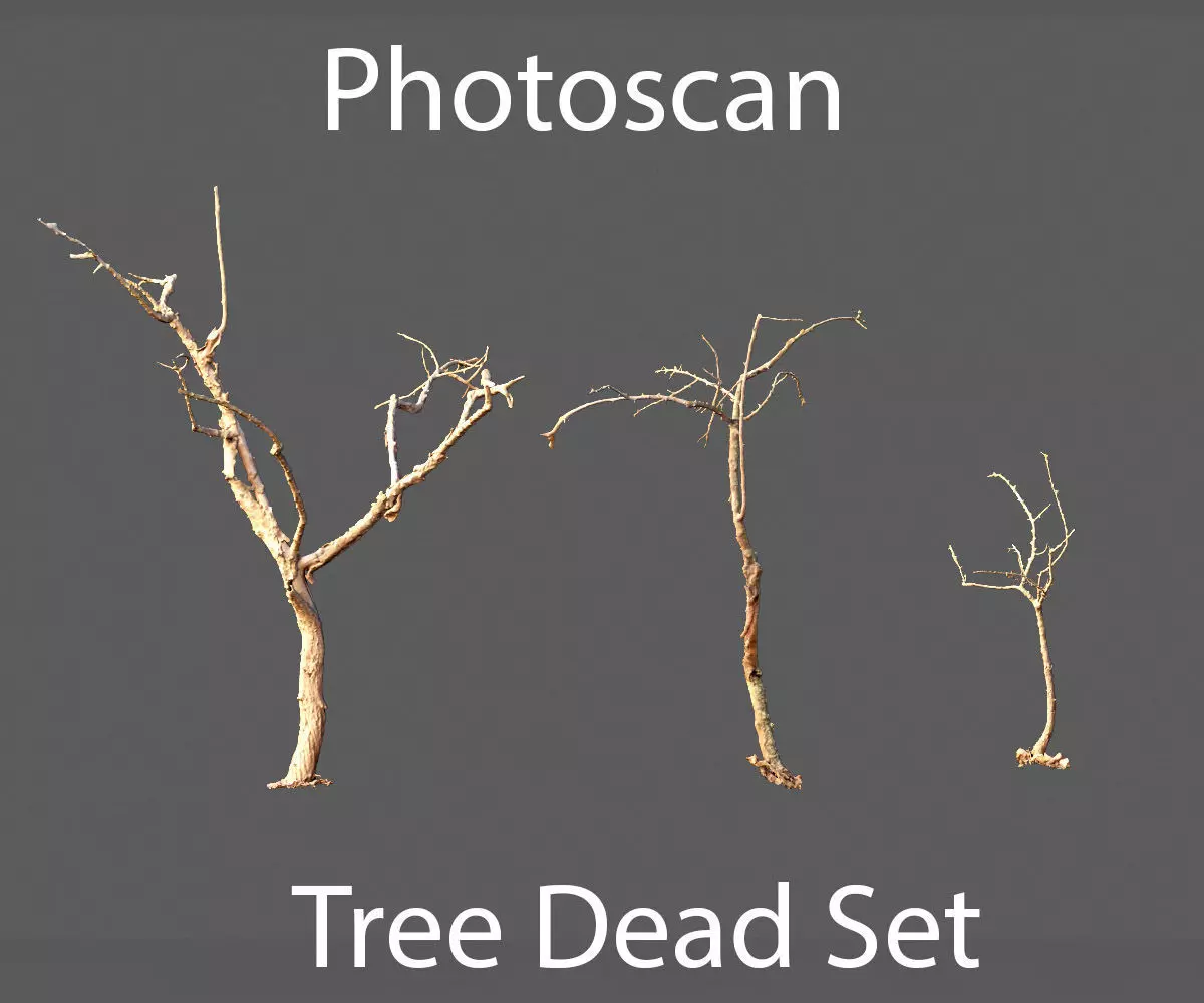 PBR Dead Tree Dry Photoscan Collection Pack Highpoly 3D model_0