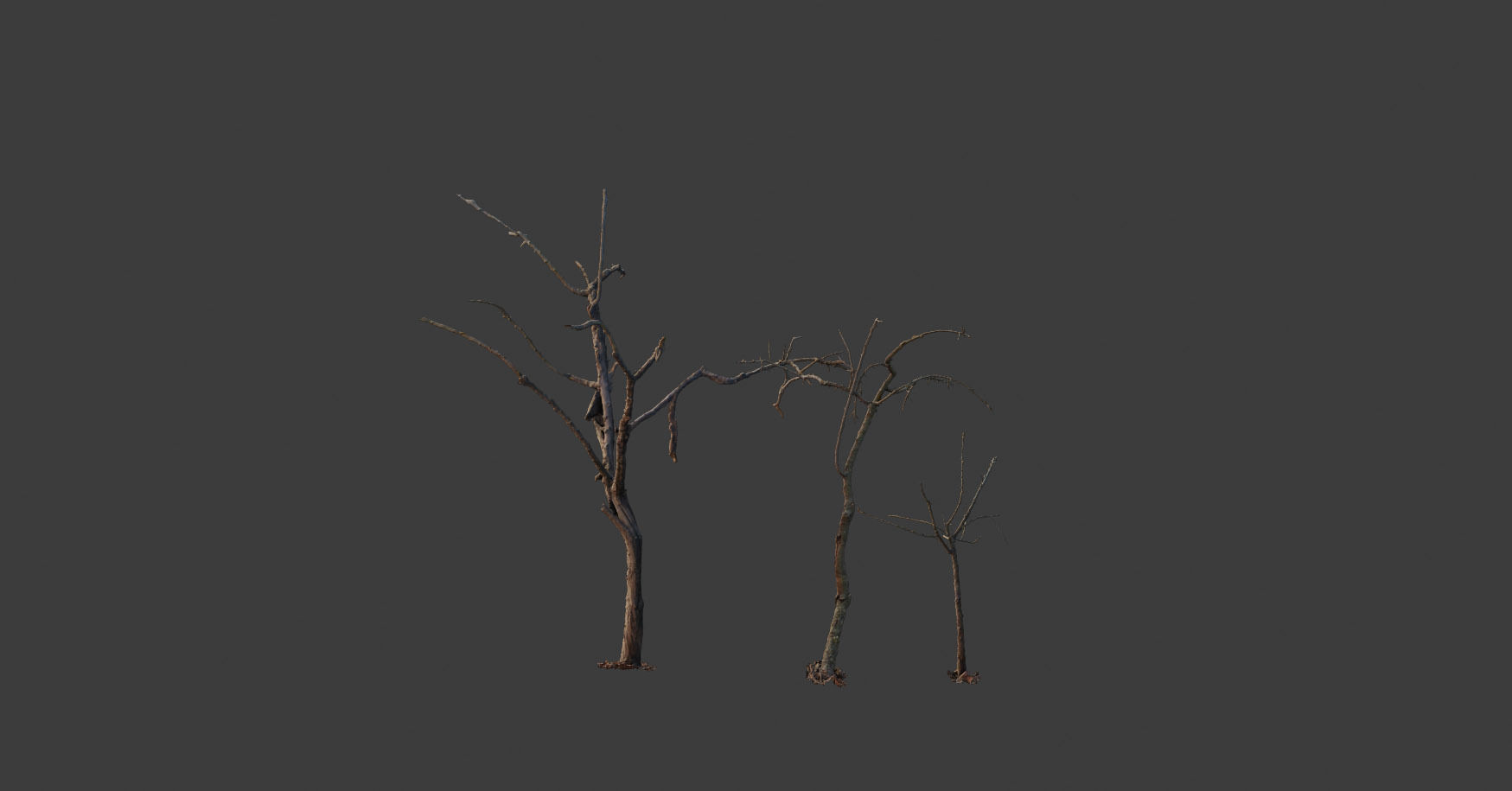 PBR Dead Tree Dry Photoscan Collection Pack Highpoly 3D model_14