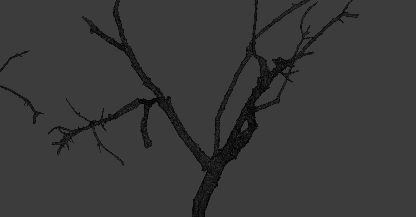 PBR Dead Tree Dry Photoscan Collection Pack Highpoly 3D model_6