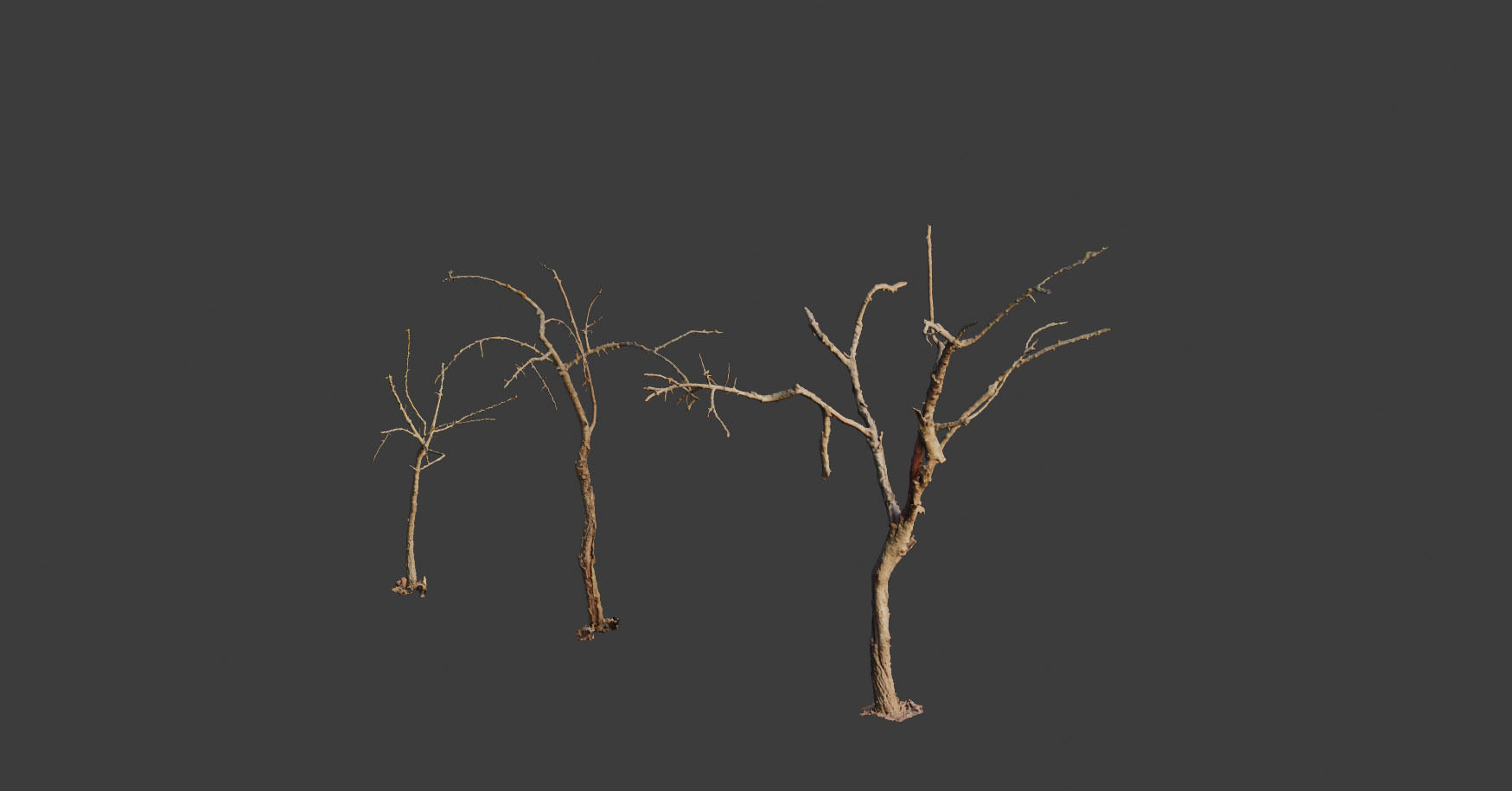 PBR Dead Tree Dry Photoscan Collection Pack Highpoly 3D model_11