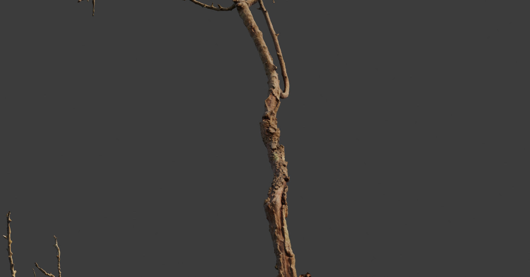 PBR Dead Tree Dry Photoscan Collection Pack Highpoly 3D model_5