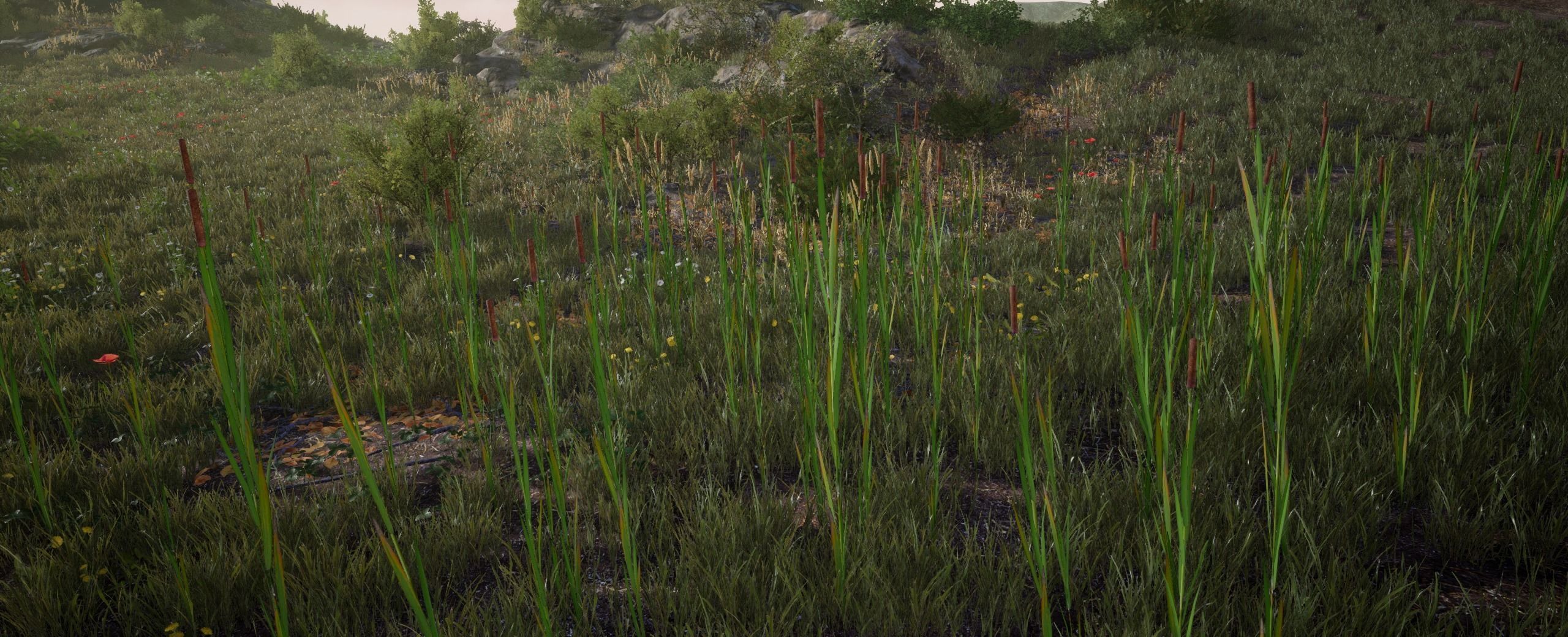 Bulrush European foliage 2 of 20 Low-poly 3D model Low-poly 3D model_3