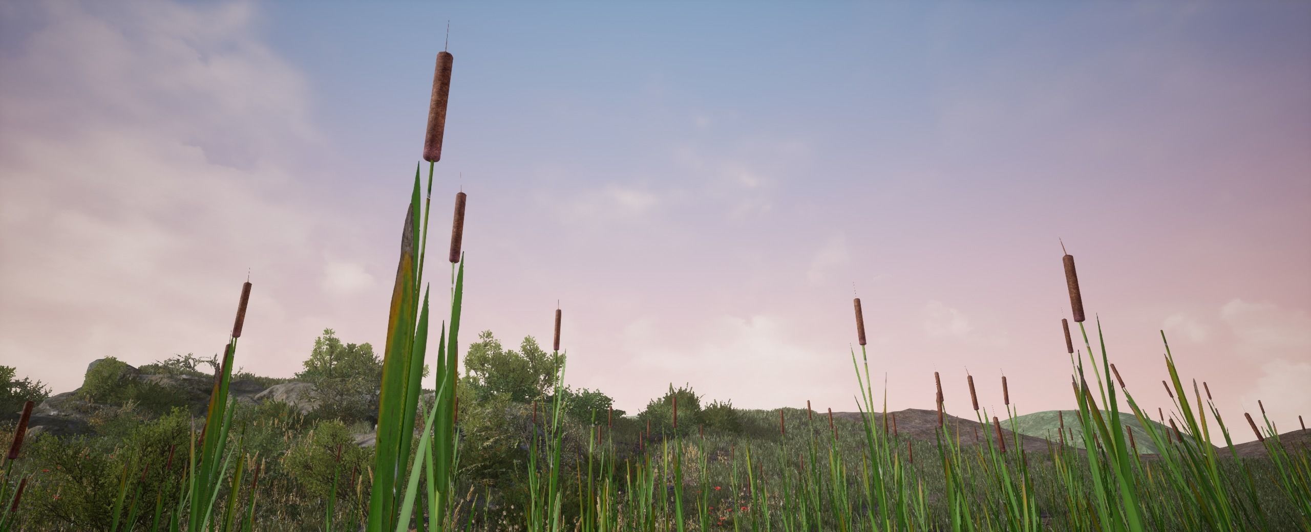 Bulrush European foliage 2 of 20 Low-poly 3D model Low-poly 3D model_5