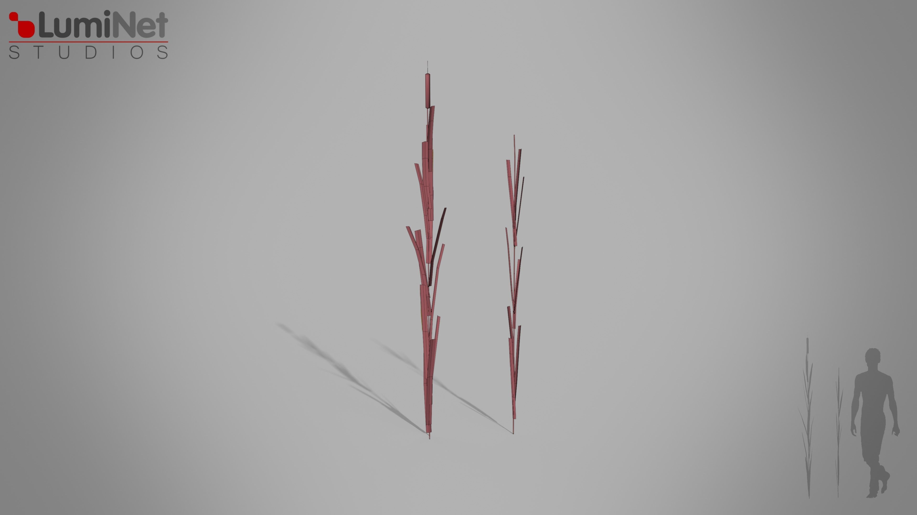 Bulrush European foliage 2 of 20 Low-poly 3D model Low-poly 3D model_1