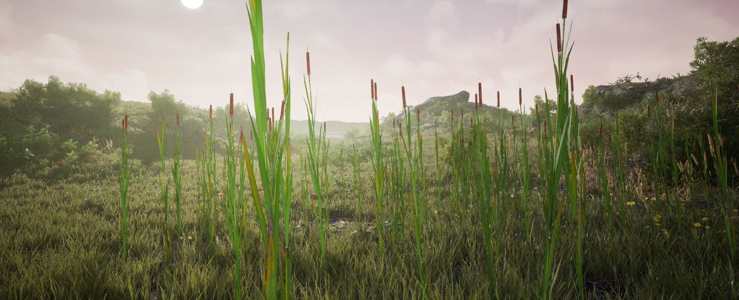 Bulrush European foliage 2 of 20 Low-poly 3D model Low-poly 3D model_4