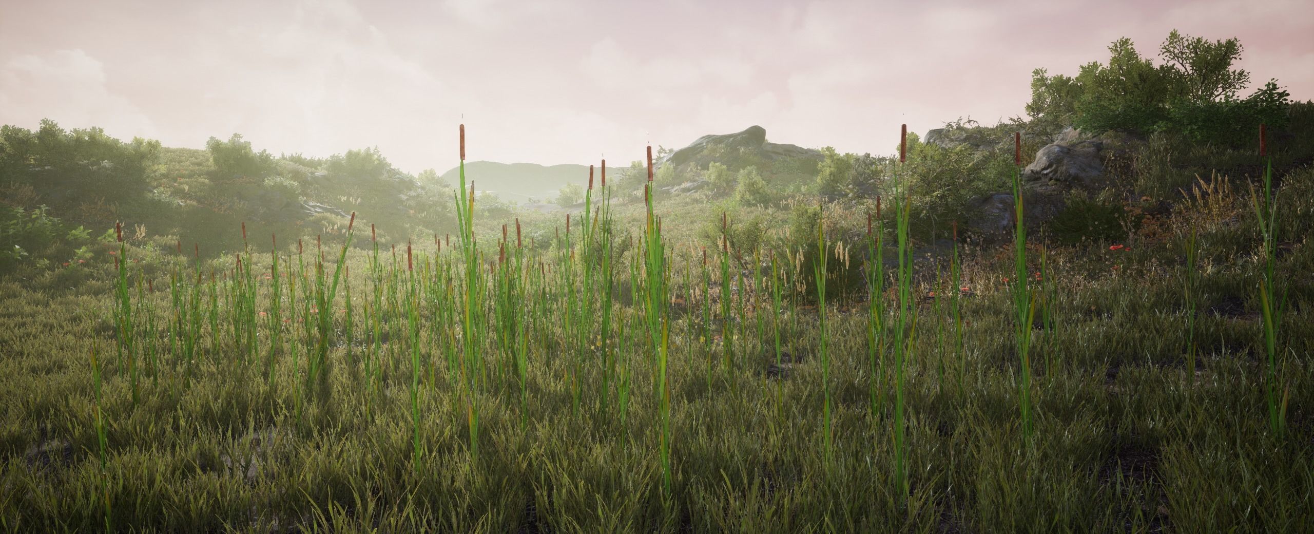 Bulrush European foliage 2 of 20 Low-poly 3D model Low-poly 3D model_2